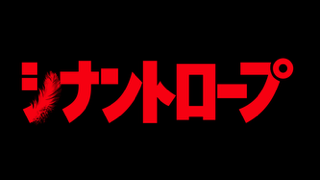 テレビ東京・ＢＳテレ東『シナントロープ』