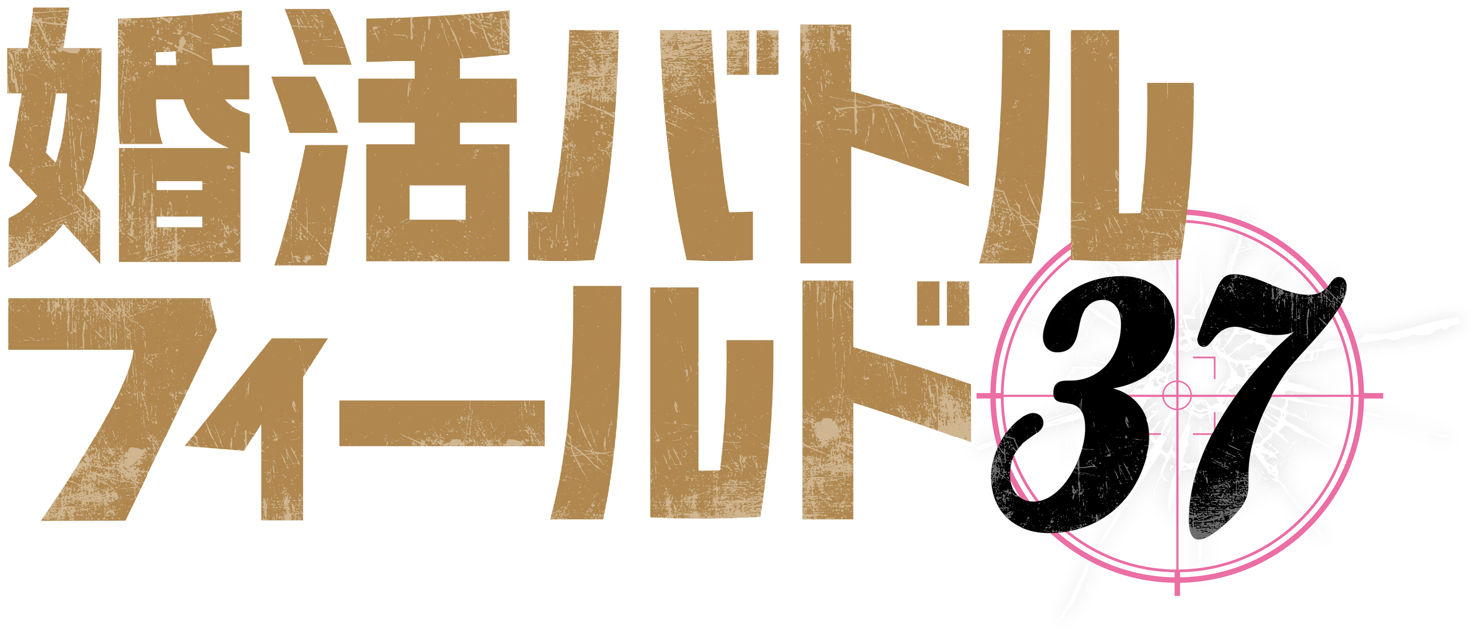 テレ東・ＢＳテレ東 7ch(公式)『婚活バトルフィールド37』